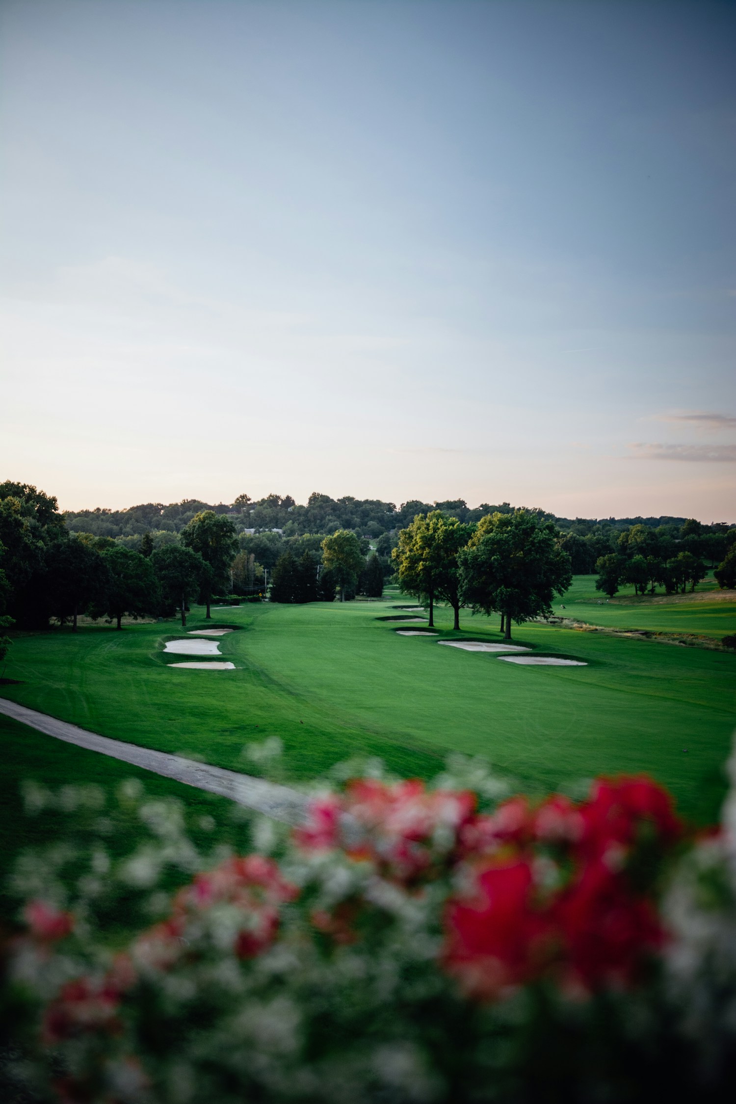 Sunlight across a tree-lined golf course